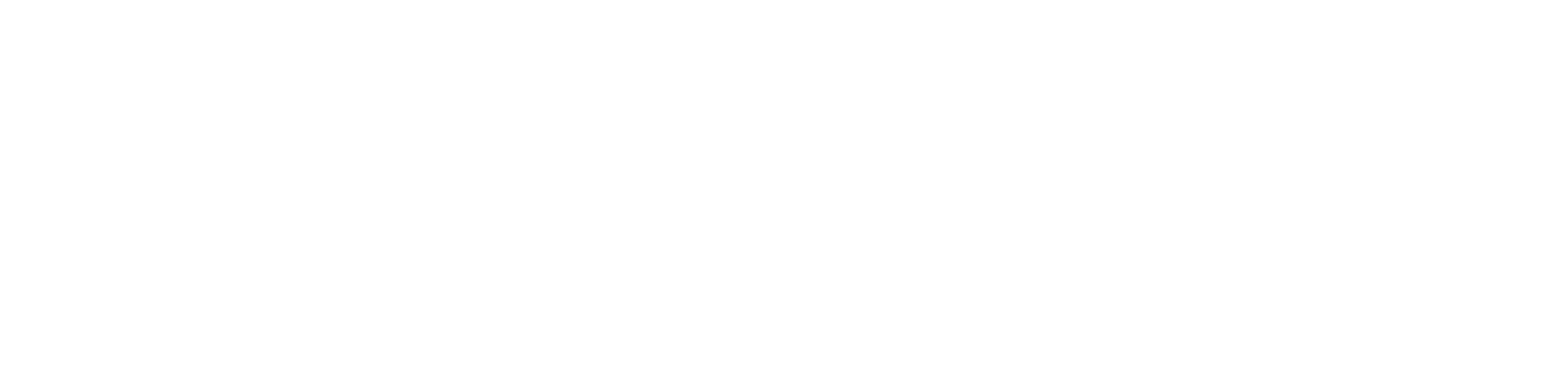 BLANCO - BANDERA SIN FONDO